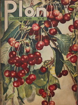 Обложка польского журнала за 1938 год
